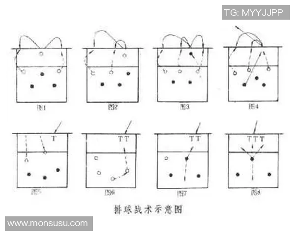 武汉排球队战术解析与对比深度剖析团队优势与不足